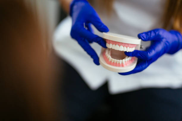 Best Crowns and Bridges  in Pelham Manor, NY